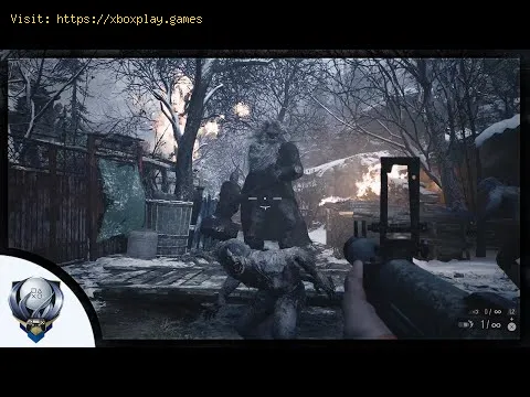 Video preview