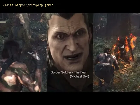 Video preview