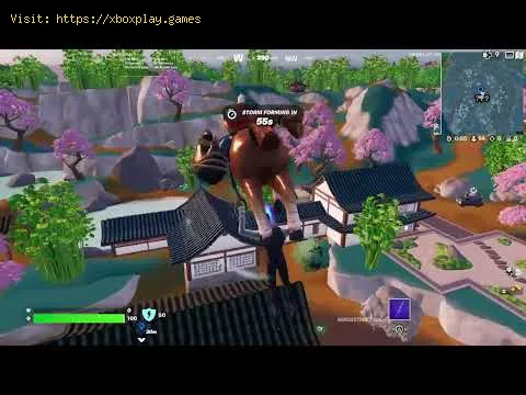 Video preview
