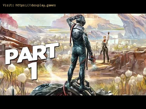 Video preview