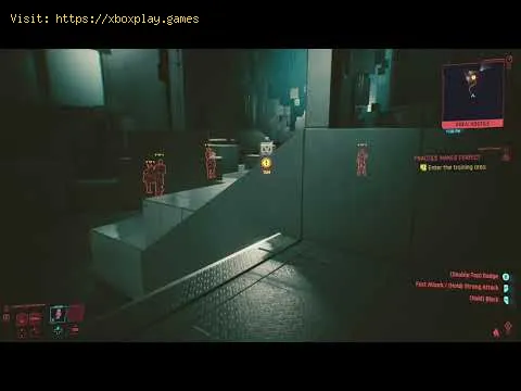 Video preview