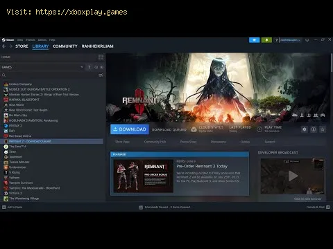 Video preview