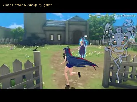 Video preview