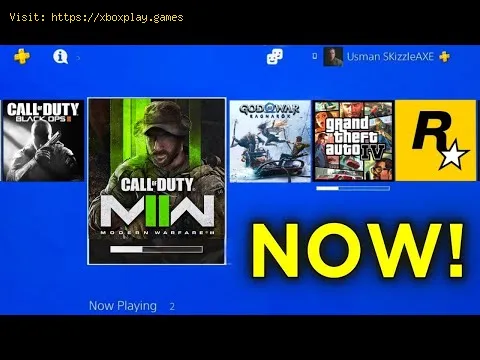 Video preview