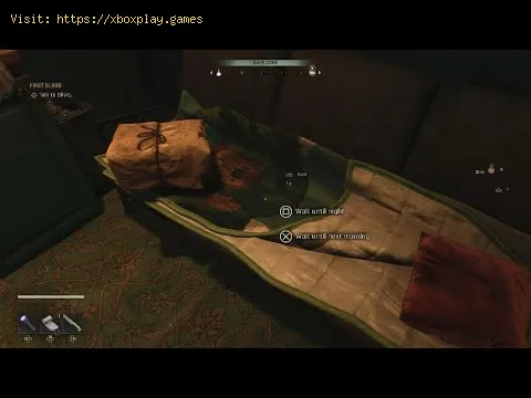 Video preview