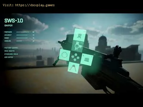 Video preview