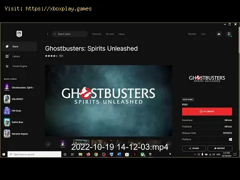 Video preview