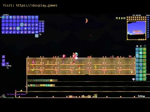 Video preview
