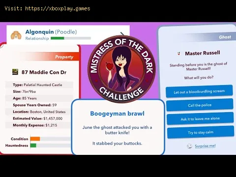 Video preview