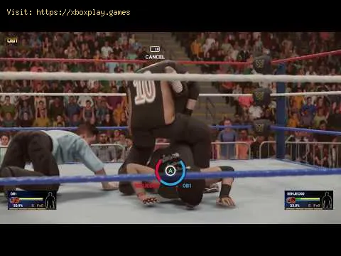 Video preview