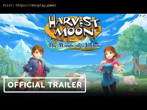 Video preview