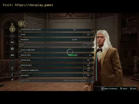 Video preview