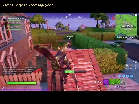 Video preview