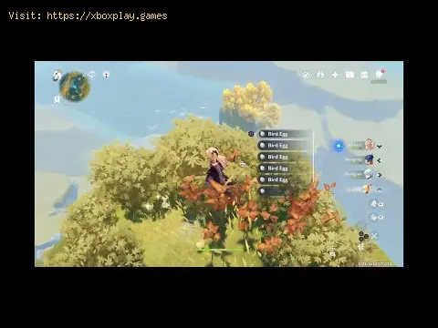 Video preview