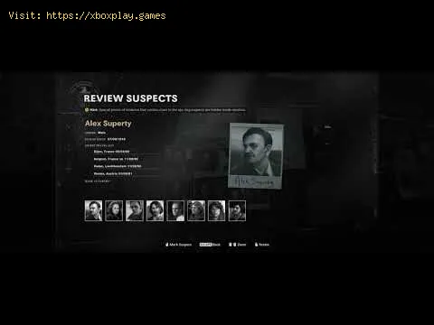 Video preview