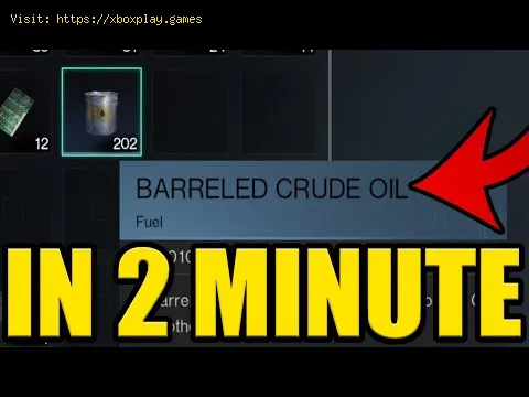 Video preview