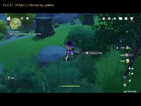 Video preview