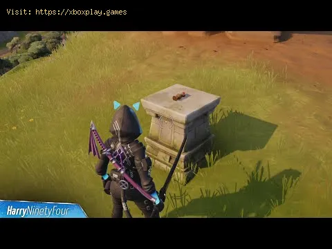 Video preview