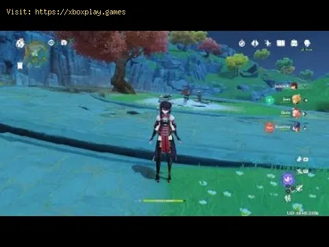 Video preview