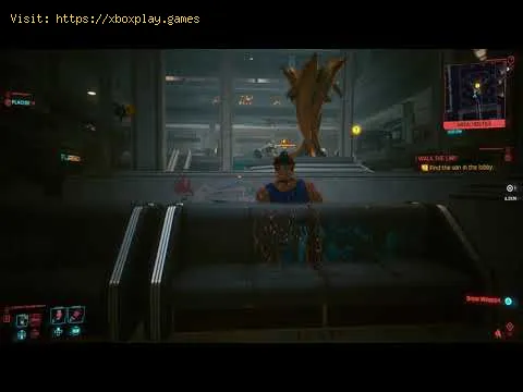 Video preview