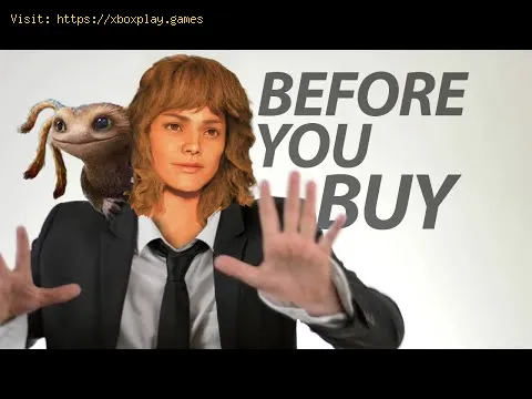 Video preview