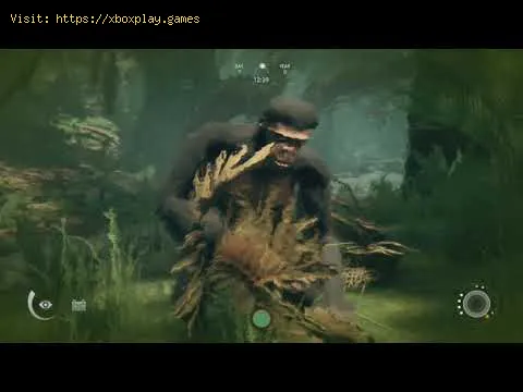 Video preview