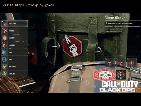 Video preview