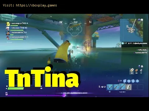 Video preview