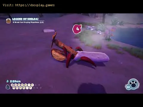 Video preview