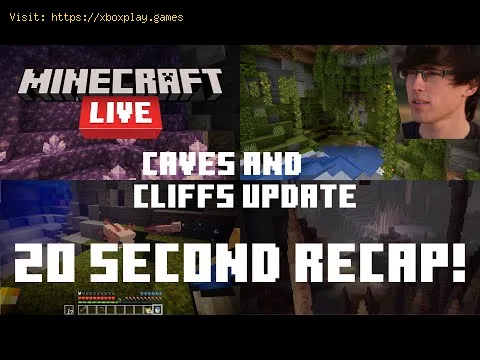 Video preview