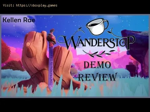 Video preview