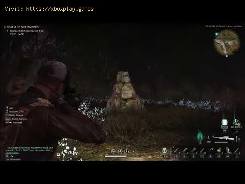 Video preview