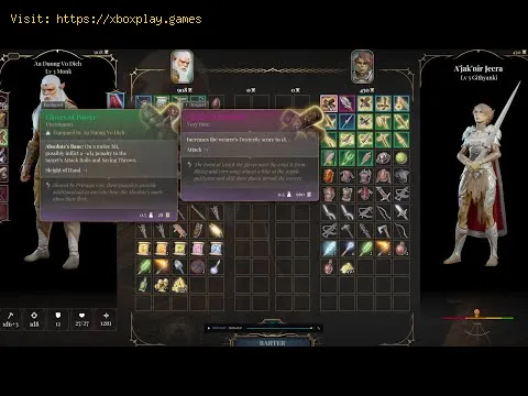Video preview