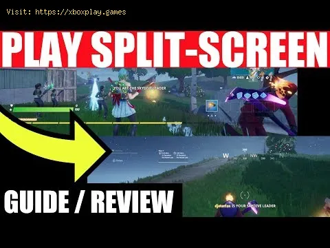 Video preview