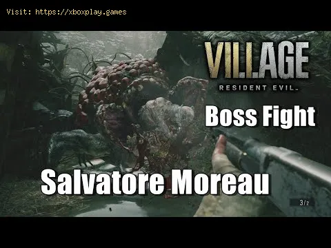 Video preview