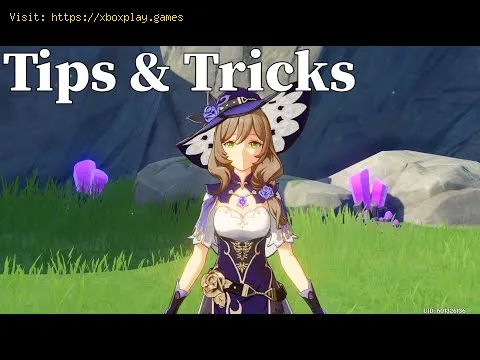 Video preview