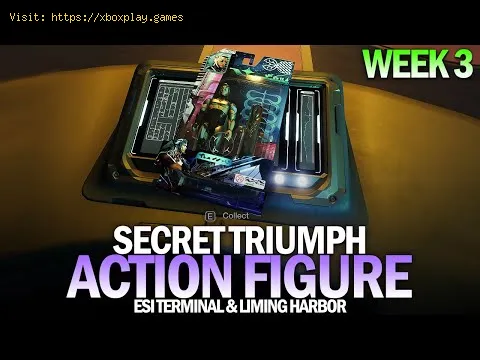 Video preview