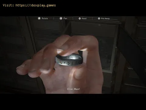 Video preview