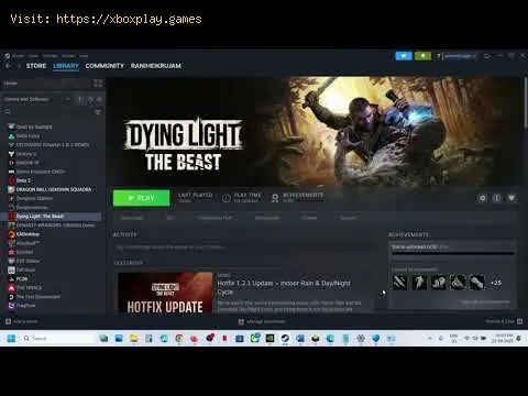 Video preview
