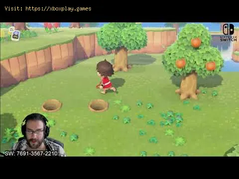 Video preview