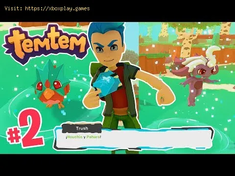 Video preview