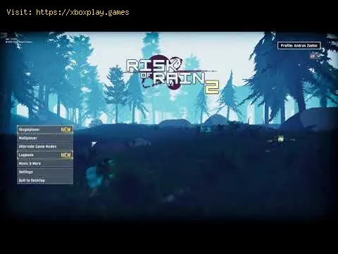 Video preview