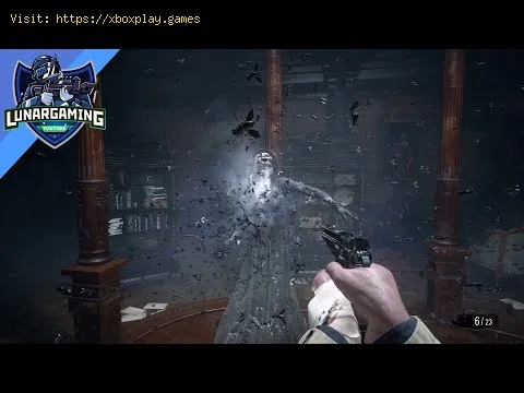 Video preview