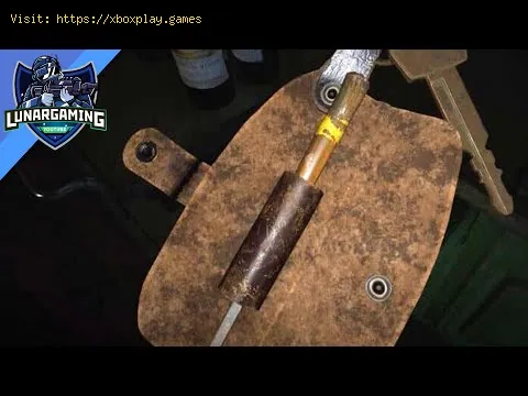 Video preview
