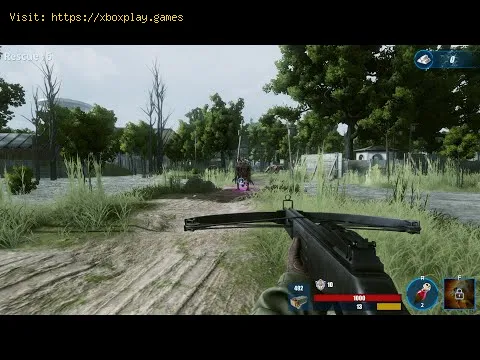 Video preview
