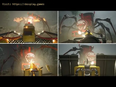 Video preview