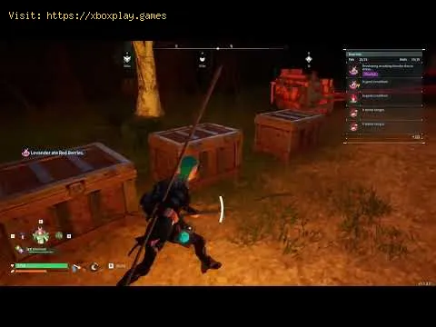 Video preview
