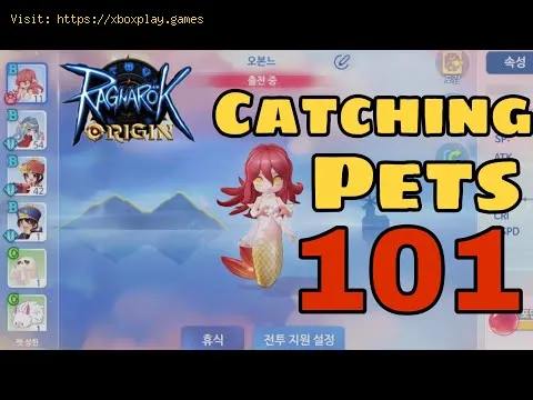 Video preview