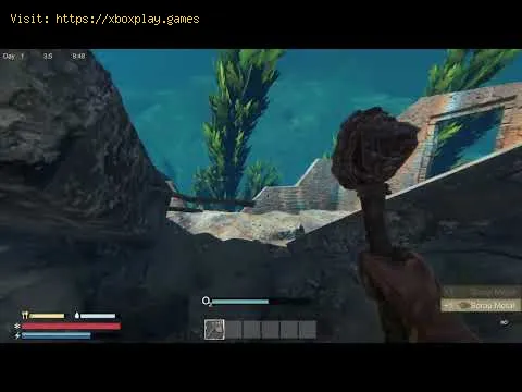 Video preview