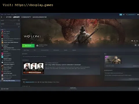 Video preview